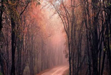 FIFA购彩网站 -再涨2%，12天11阳气势如虹，电子ETF华宝（515260）即将刷新70个月新高