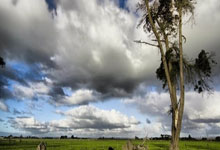 世界杯买球网 -中鲸智联申请定制化边缘计算智能识别终端配置系统专利，将产线换型时间从数小时缩短至分钟级