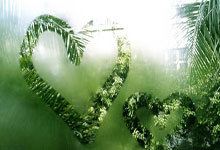 FIFA购彩网站 -再涨2%，12天11阳气势如虹，电子ETF华宝（515260）即将刷新70个月新高